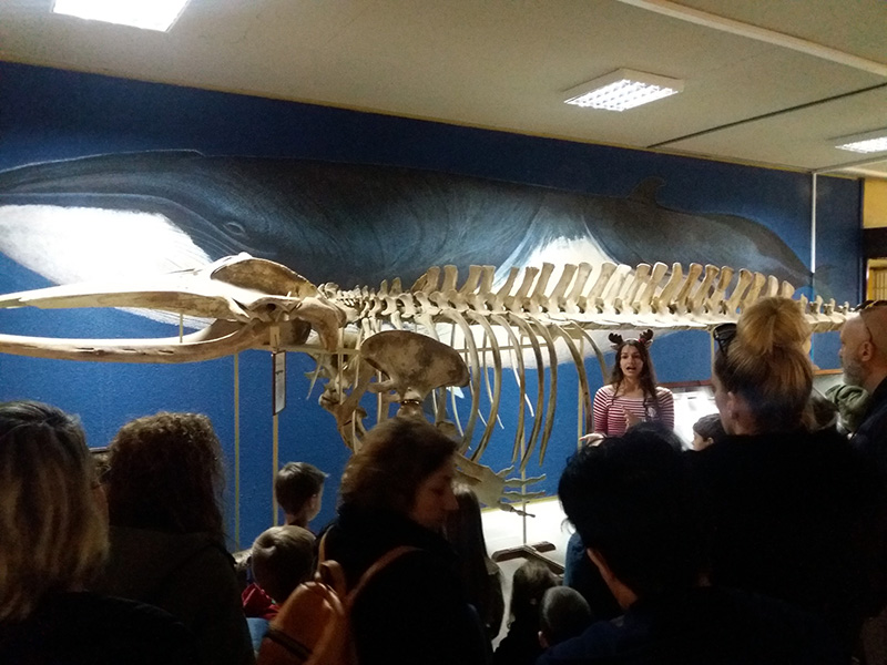 Ξεναγήσεις στο Μουσείο Ζωολογίας, Χριστούγεννα 2022