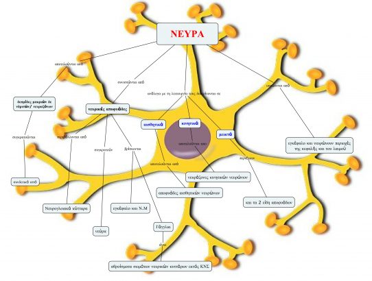 Εννοιολογικός χάρτης: Όταν η γνώση παντρεύεται με το σχέδιο..