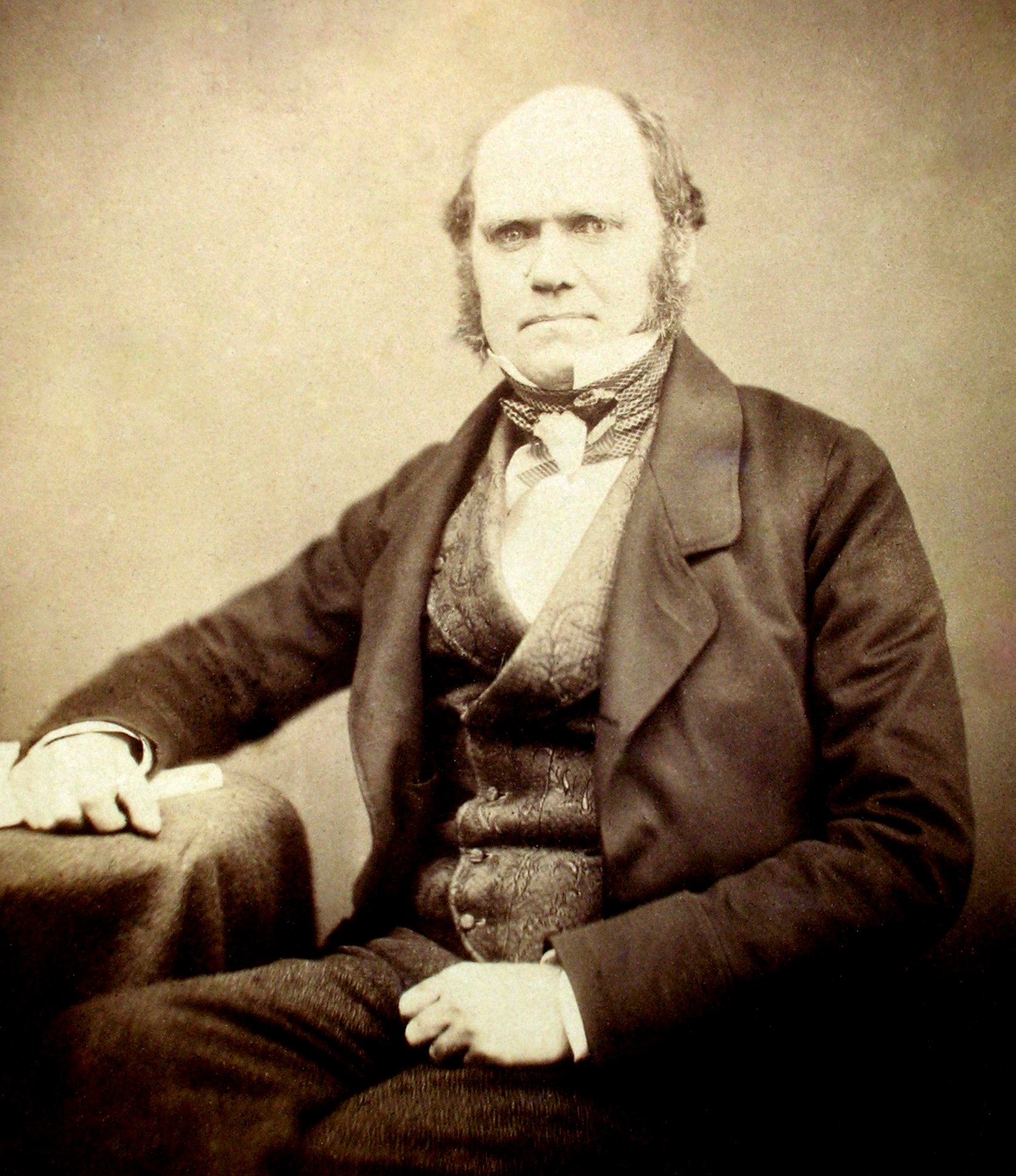 By Maull and Polyblank - The Complete Work of Charles Darwin Online, Public Domain, Link