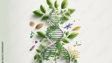 Μαθησιακά Αποτελέσματα