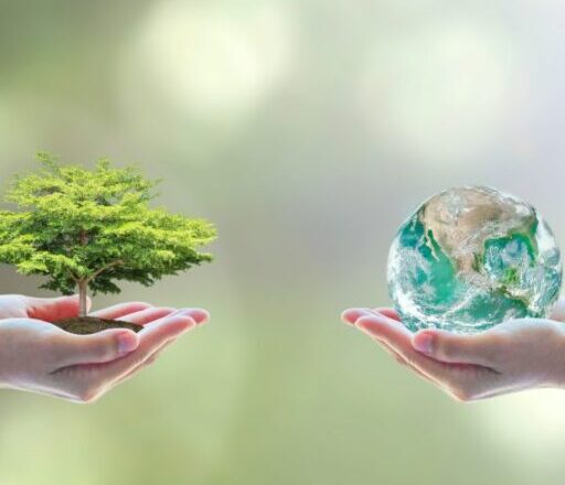 Πλανήτης Γη και Περιβάλλον