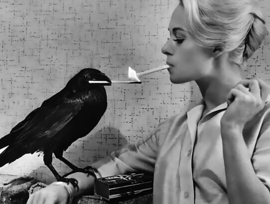 Φτερωτοί Αθηναίοι