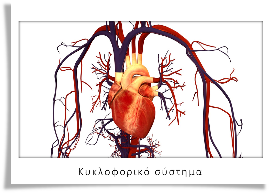 ΠΑΡΟΥΣΙΑΣΗ ΜΑΘΗΜΑΤΟΣ ΜΕ ΧΡΗΣΗ Μoodle