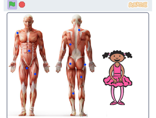 Όταν η Βιολογία "χορεύει": μάθε για το μυϊκό σύστημα μέσα από το Scratch!