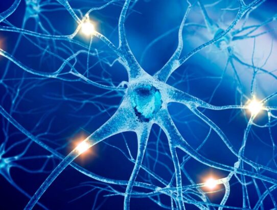 Νευρικό Σύστημα: ο αφανής "μαέστρος" της "ορχήστρας" της ζωής μας