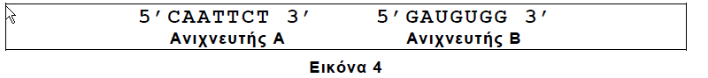 Eikona4.giotapas9.png