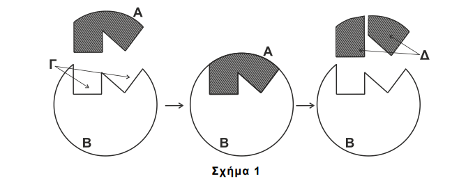 Σχημα 1.png