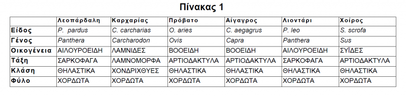 Αρχείο:MARITINA 6.png