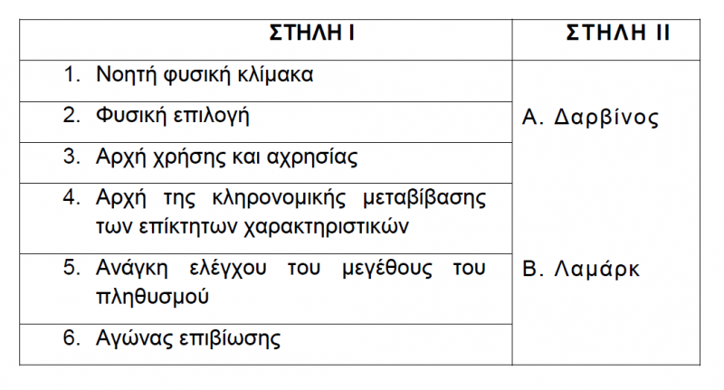 Αρχείο:MARITINA 5.png