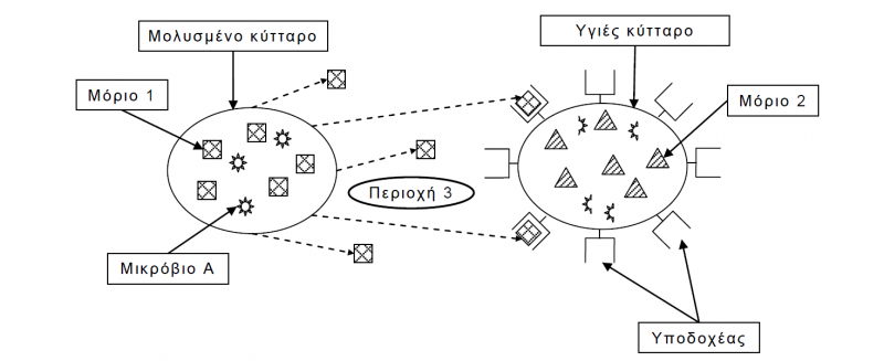 Αρχείο:MARITINA 1.png
