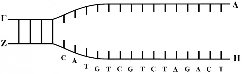 Αρχείο:ElikaDNA mania.png