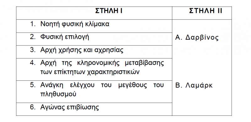 Αρχείο:MARITINA 4.png