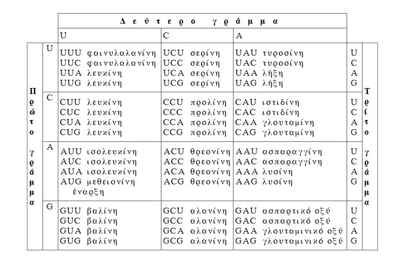 Αρχείο:2 alalo.jpg