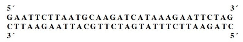 Αρχείο:1 alalo.jpg