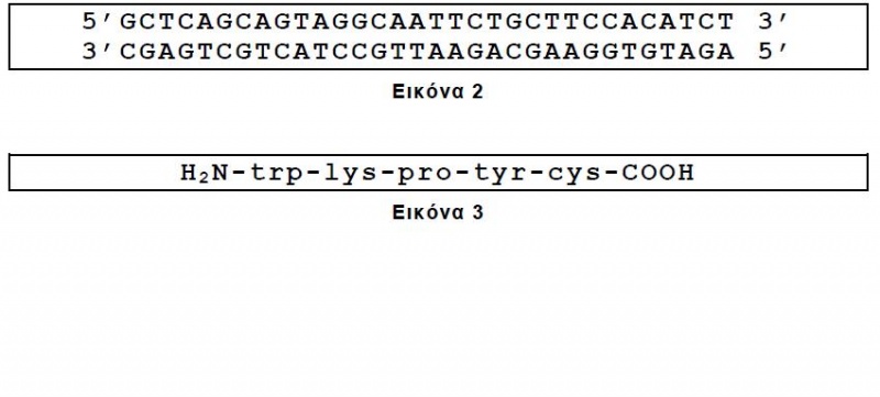 Αρχείο:Eikona3 amigiann.JPG