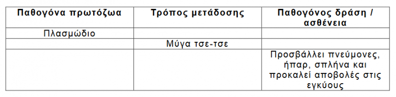 Αρχείο:B4 Nioak.png