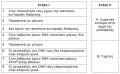 Μικρογραφία για την έκδοση της 13:41, 20 Μαΐου 2017
