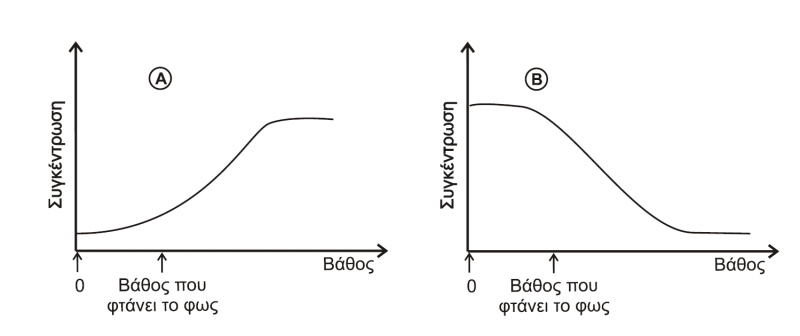 Αρχείο:5heikona mk.png