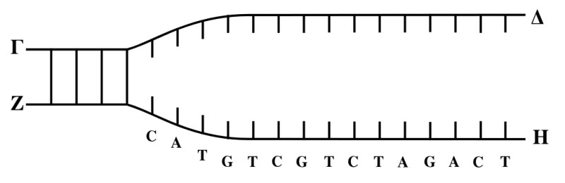 Αρχείο:Bio wiki.png