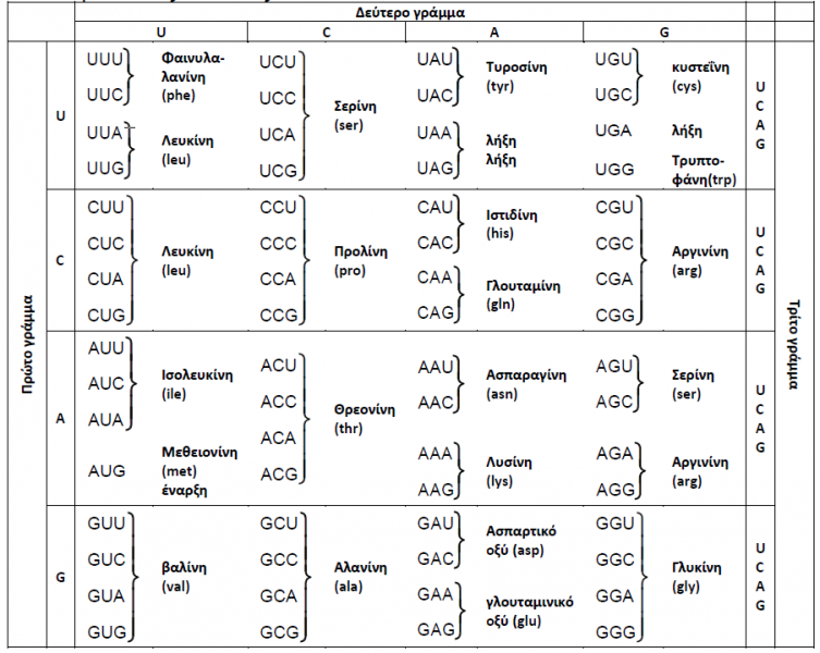 Αρχείο:Genecode acntz.png