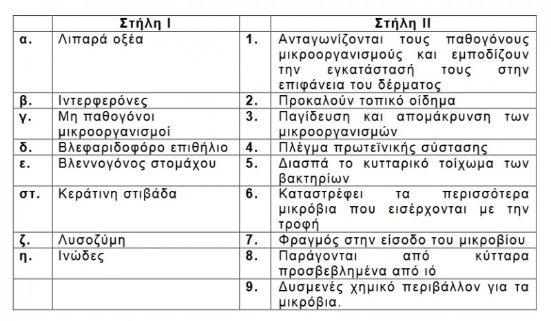 Αρχείο:B1 Nioak.png