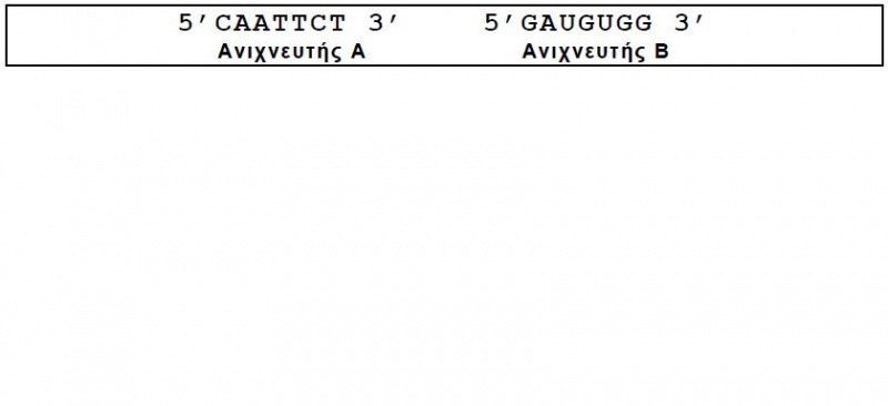 Αρχείο:Eikona4 amigiann.JPG
