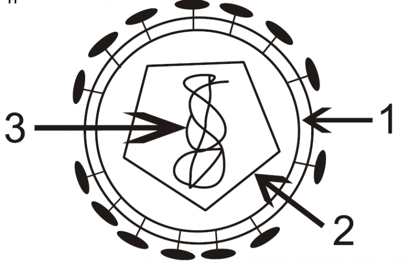 Αρχείο:3heikona mk.png