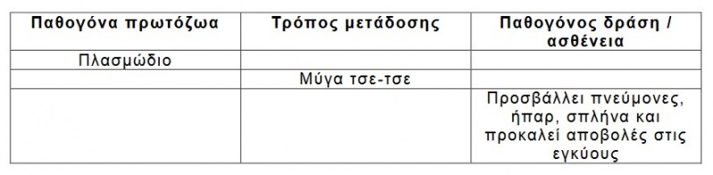 Αρχείο:B4 Nioak.jpg