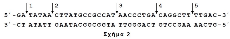 Αρχείο:Tre Eikona 3.jpg