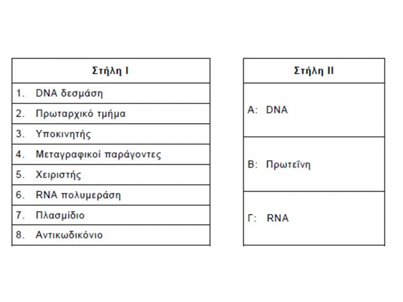 Αρχείο:Eikona1 esbiol.jpg